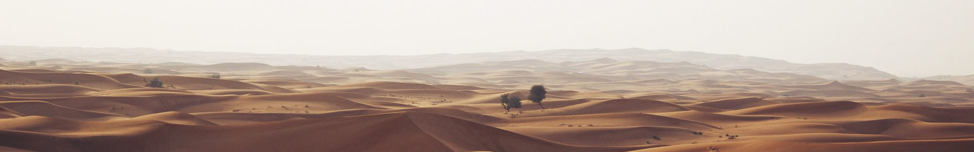 ǭZлеƼ޹˾